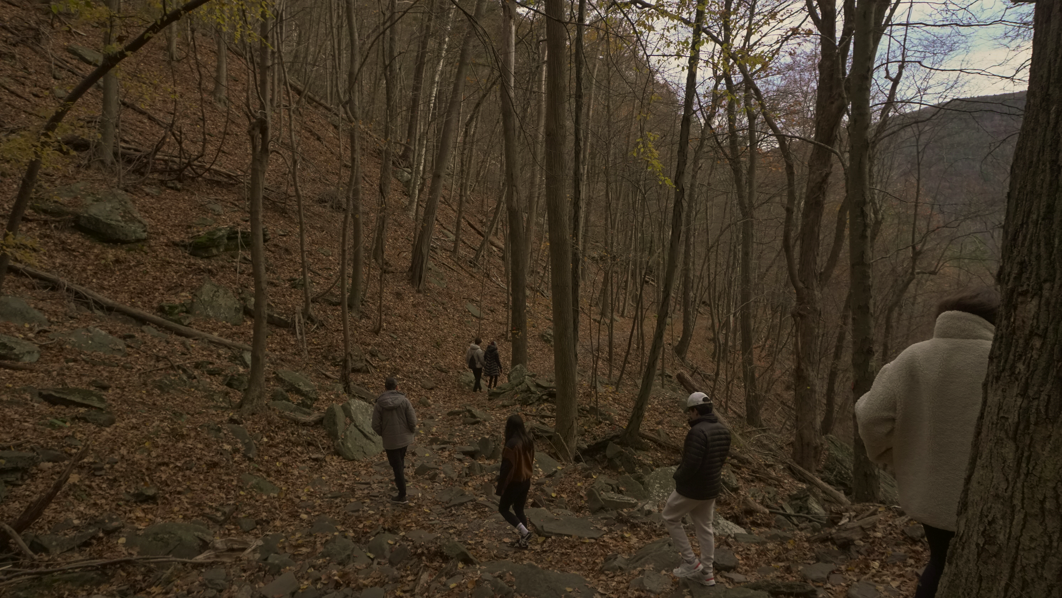 Project Image 3